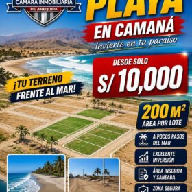Cel 972762433